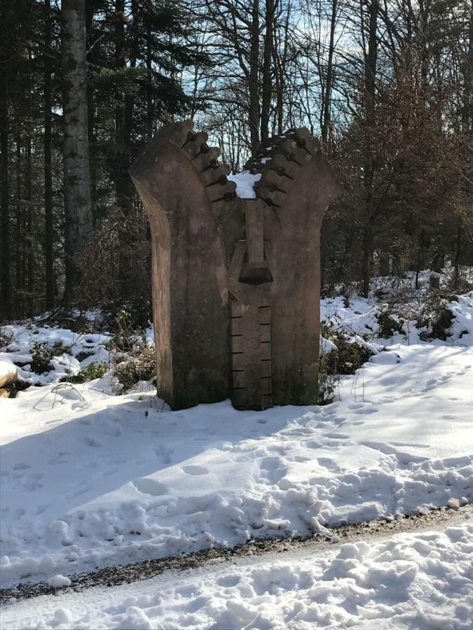 Chez Dina Apartman Lutzelhouse Kültér fotó